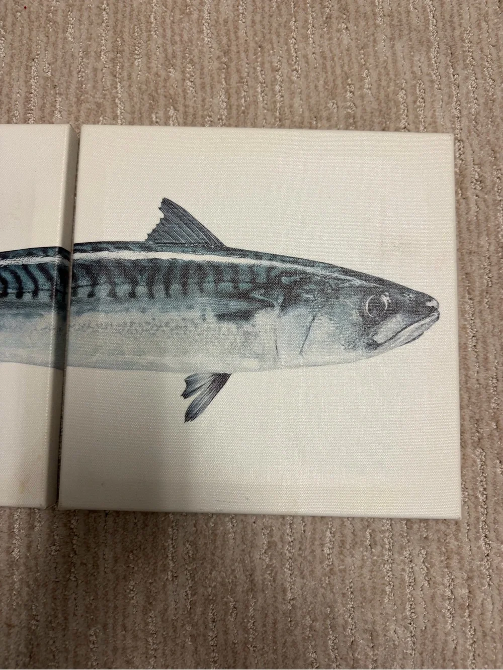 IKEA Pjatteryd Fish Canvas Art Print 10x10